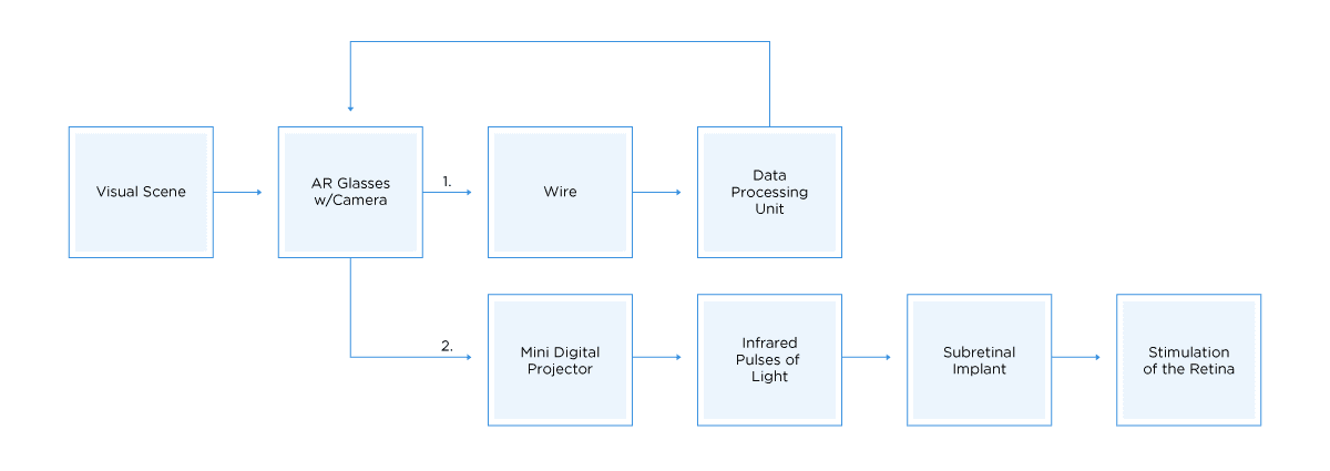 PRIMA Visual System