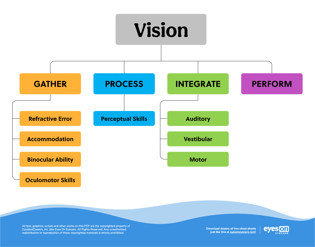 https://covalentcareers3.s3.amazonaws.com/media/original_images/Contact-Lens-Flowchart.png