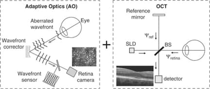 What's The Next Step for Adaptive Optics?