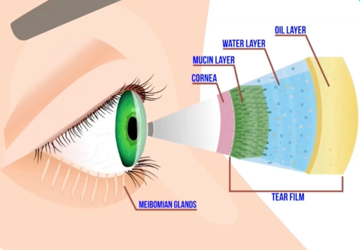 Ocular Surface Breakdown with Layers of the Tear Film