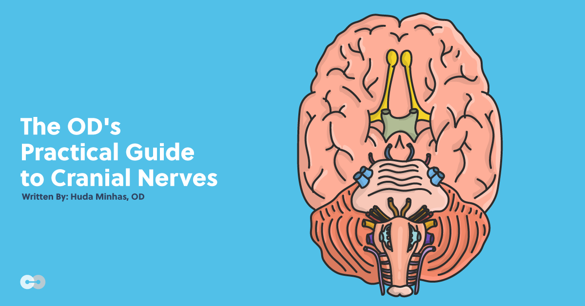 The OD's Practical Guide to Cranial Nerves: Downloadable Cheat Sheet