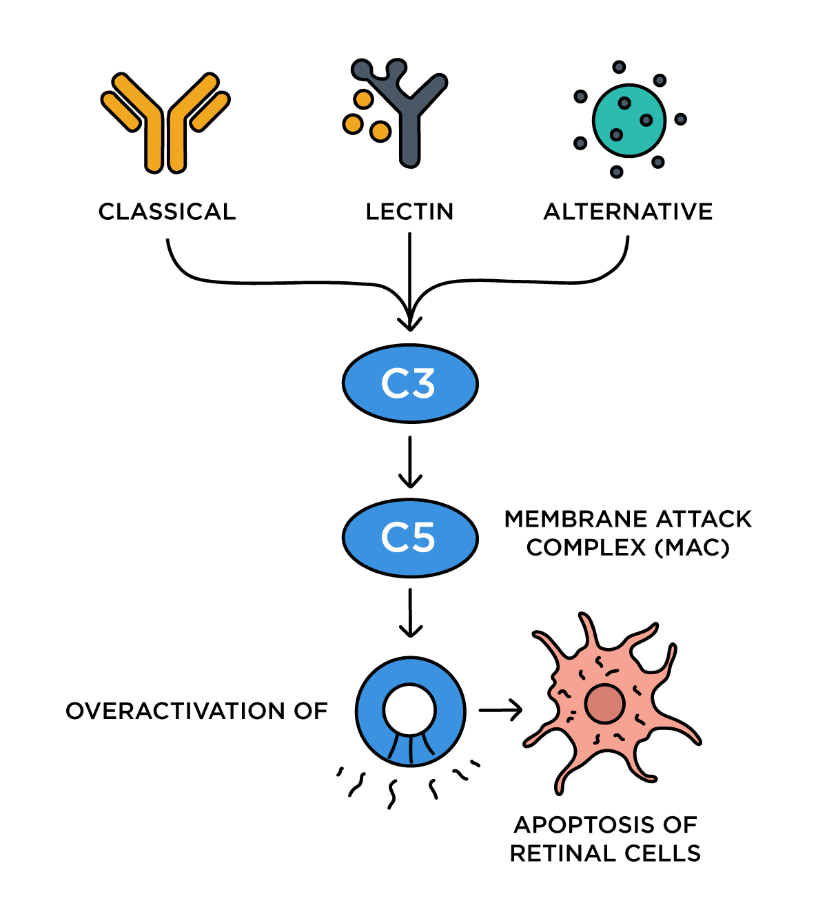 The Collaborative Dynamic in Geographic Atrophy Care