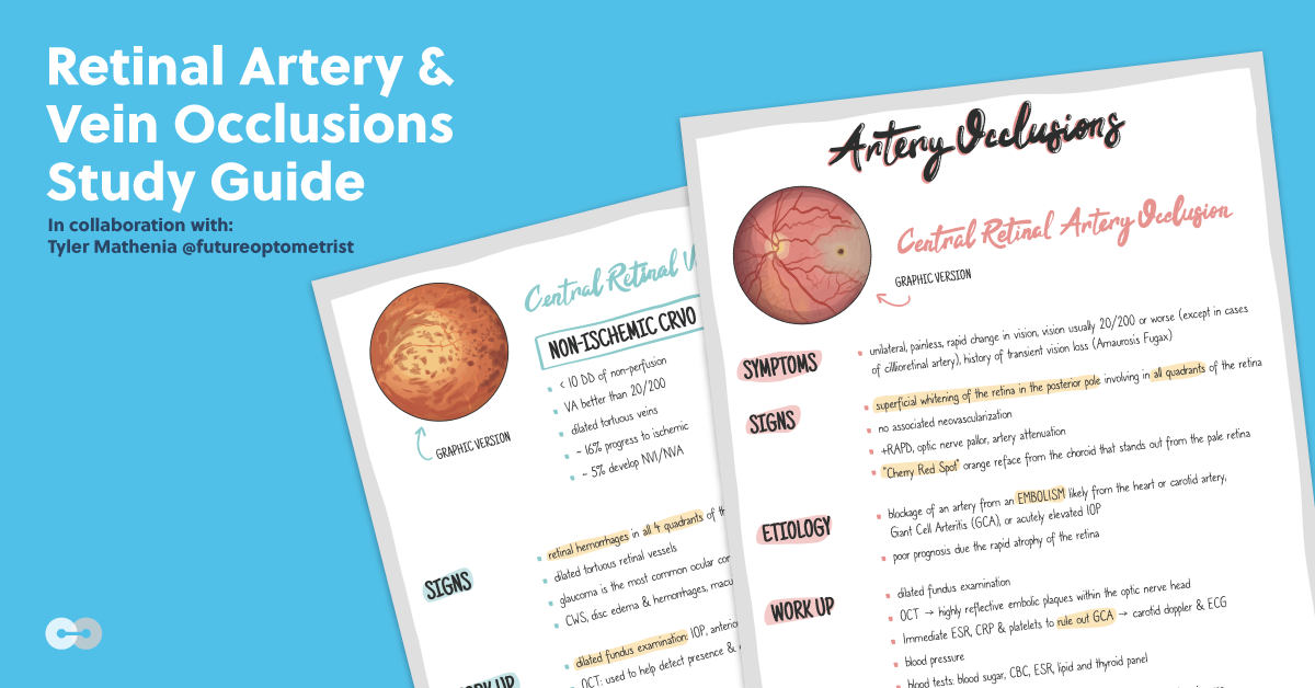 Retinal Artery and Vein Occlusions: Downloadable Study Guide