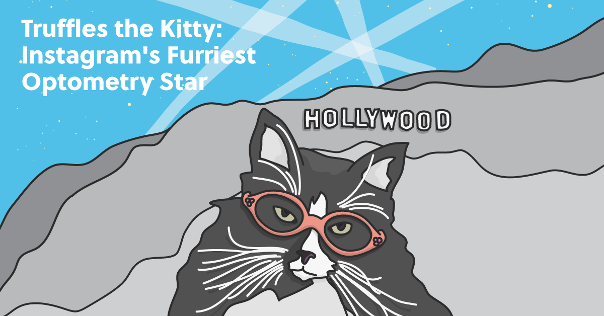 Truffles the Kitty: Instagram's Furriest Optometry Star