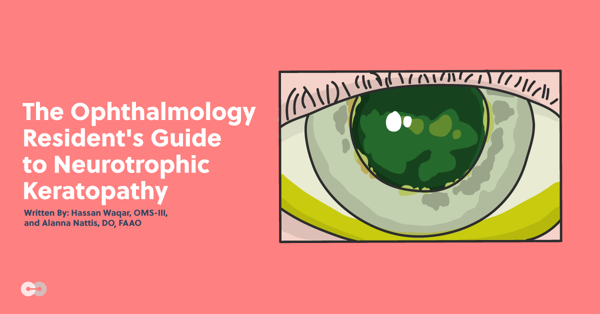 The Ophthalmology Resident's Guide to Diagnosing and Managing Neurotrophic Keratopathy