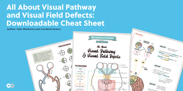 All About Visual Pathway and Visual Field Defects: Downloadable Cheat Sheet
