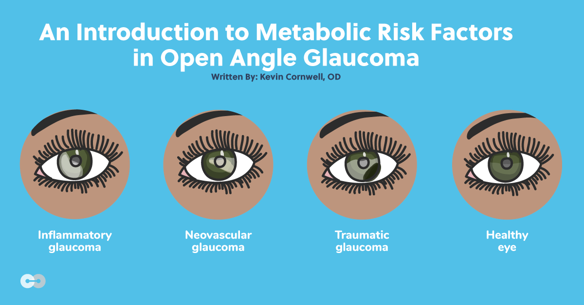 An Introduction to Metabolic Risk Factors in Open Angle Glaucoma