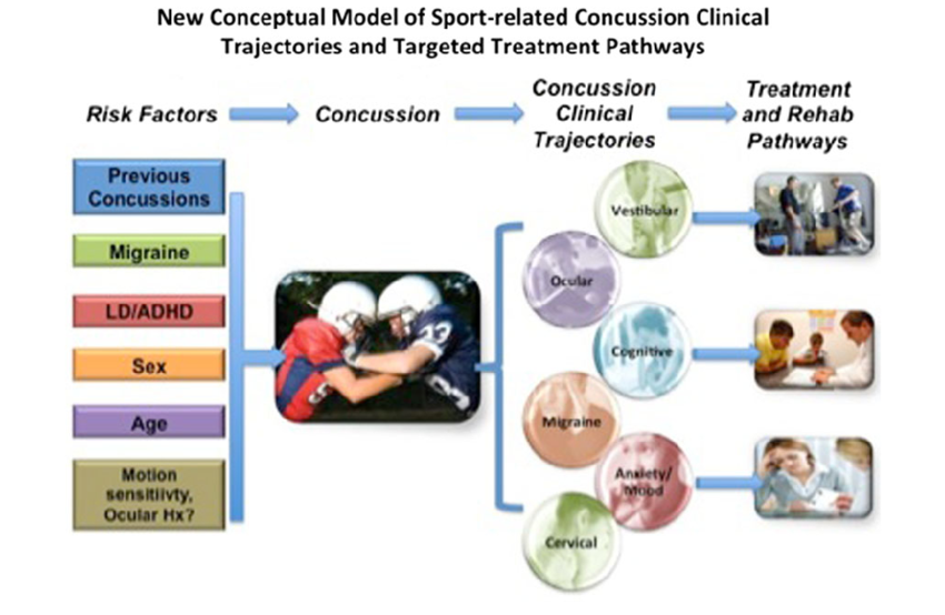 https://covalentcareers3.s3.amazonaws.com/media/original_images/New-comprehensive-conceptual-model-for-clinical-care-of-sport-related-conc.png