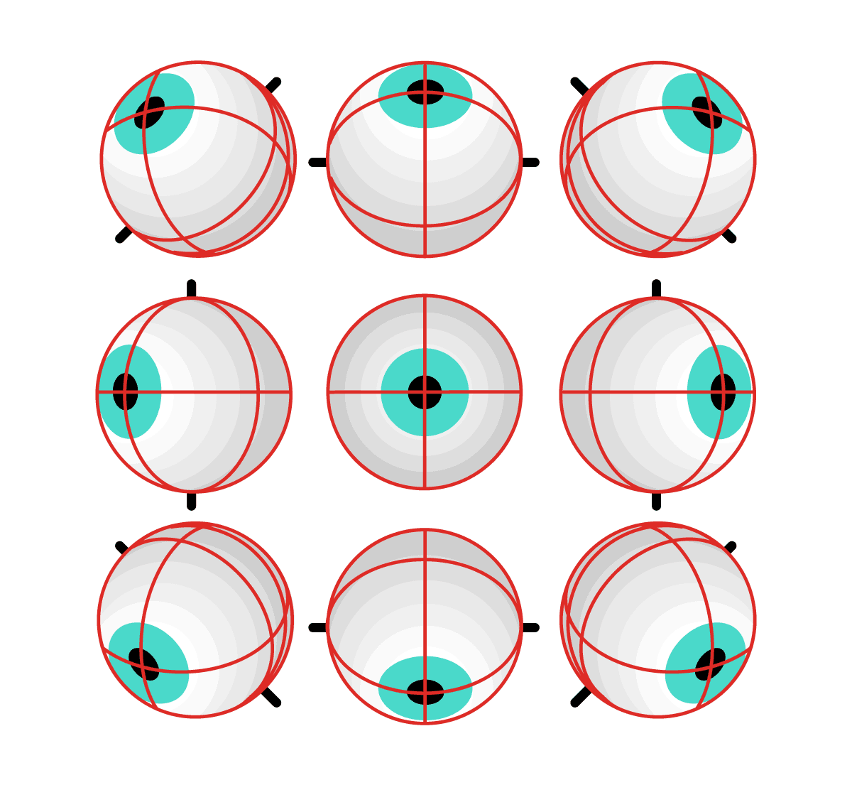 The Simplified Guide to Understanding Eye Movements