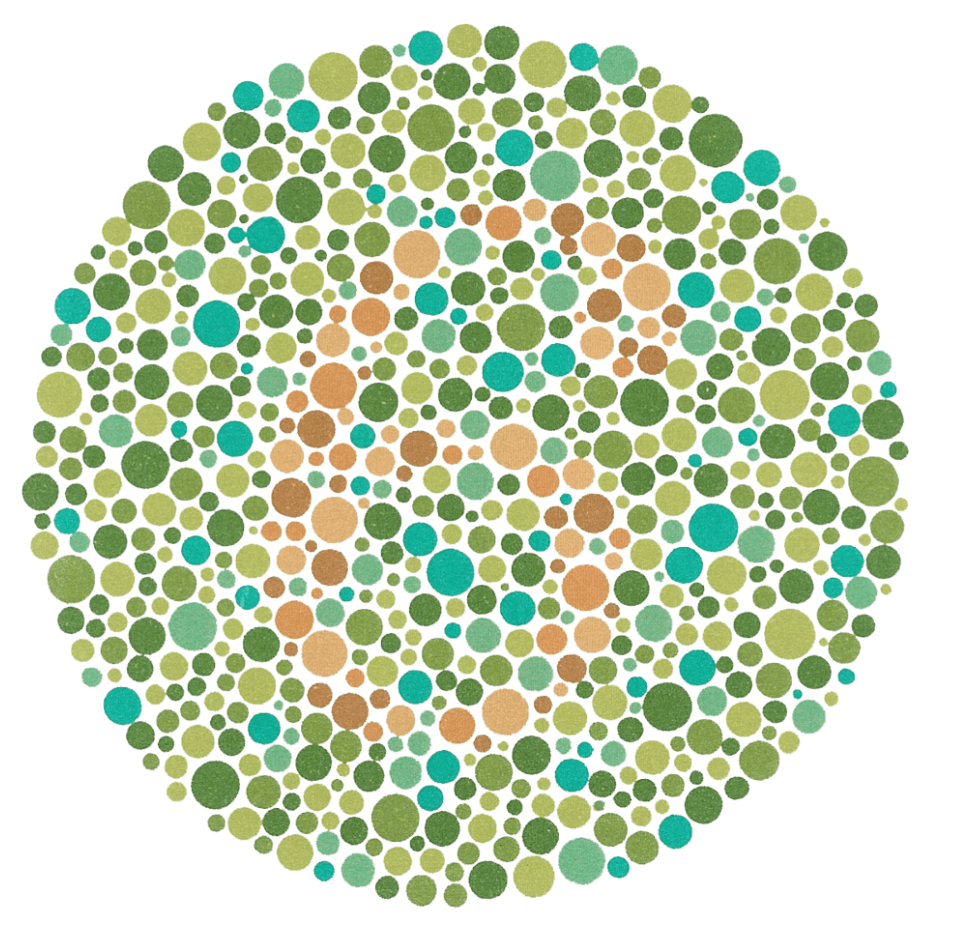 What Color Do You See? Color Vision Testing and What it Means