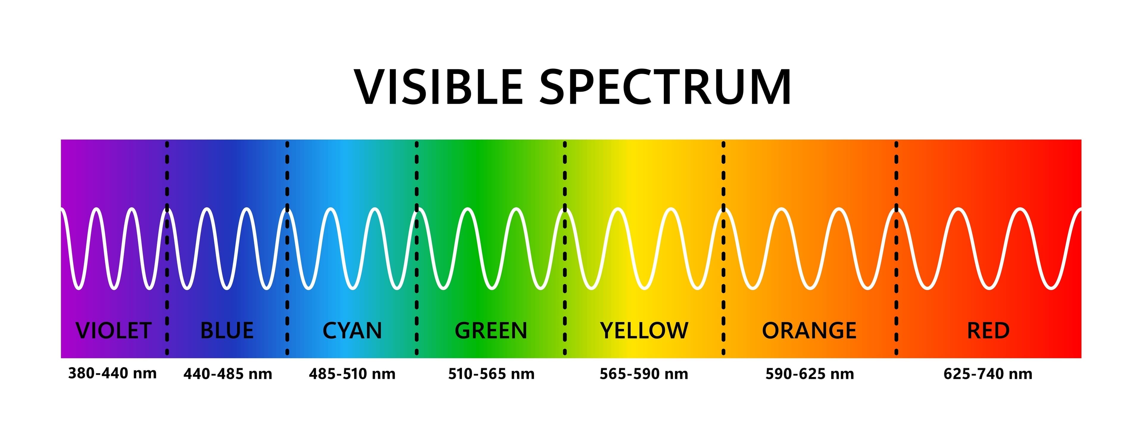 Spectra Yellow The Ultimate Guide to OptiLight for Dry Eye